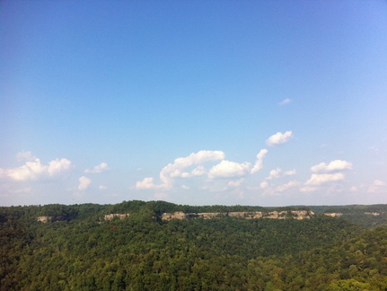 Auxier Ridge, a year after the fire